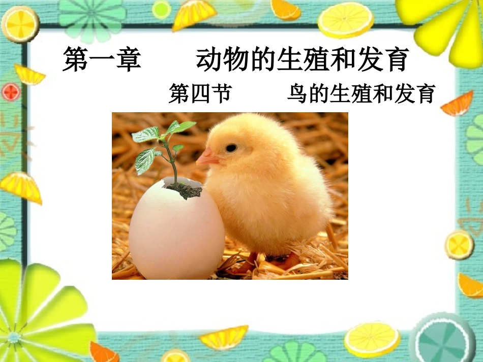 -鸟的生殖和发育_第1页