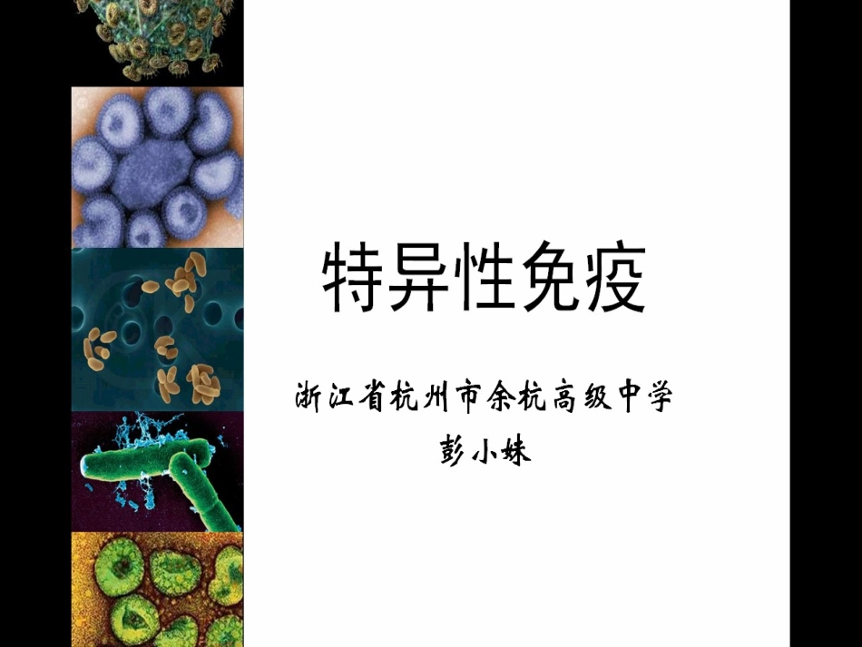 特异性反应公开课_第1页