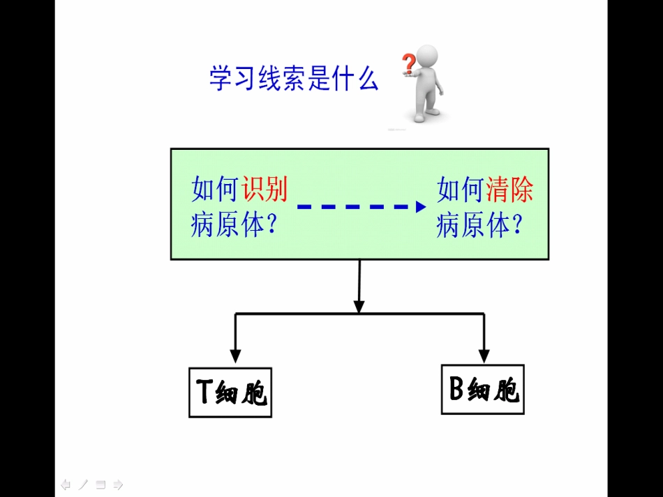 特异性反应公开课_第3页