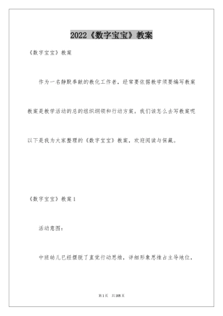 2024《数字宝宝》教案