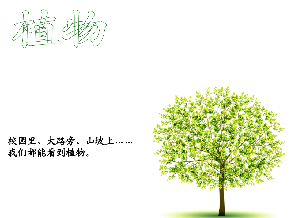 我看到了什么？_第1页