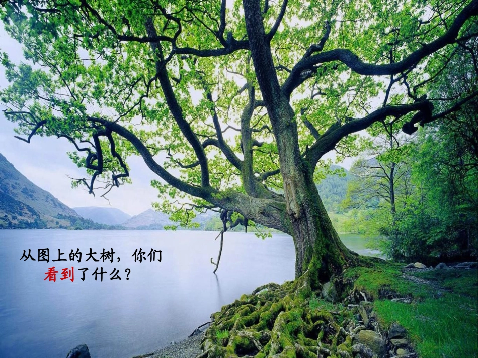 我看到了什么？_第3页