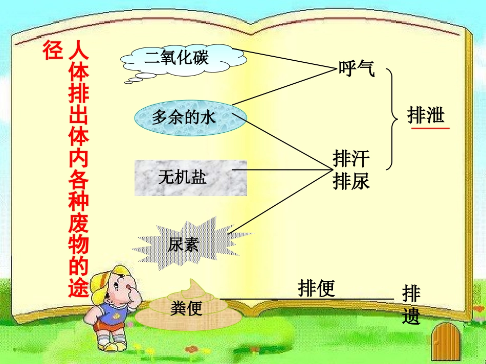 人体内废物的排出 (2)_第3页