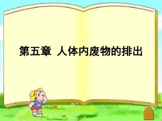 人体内废物的排出 (2)