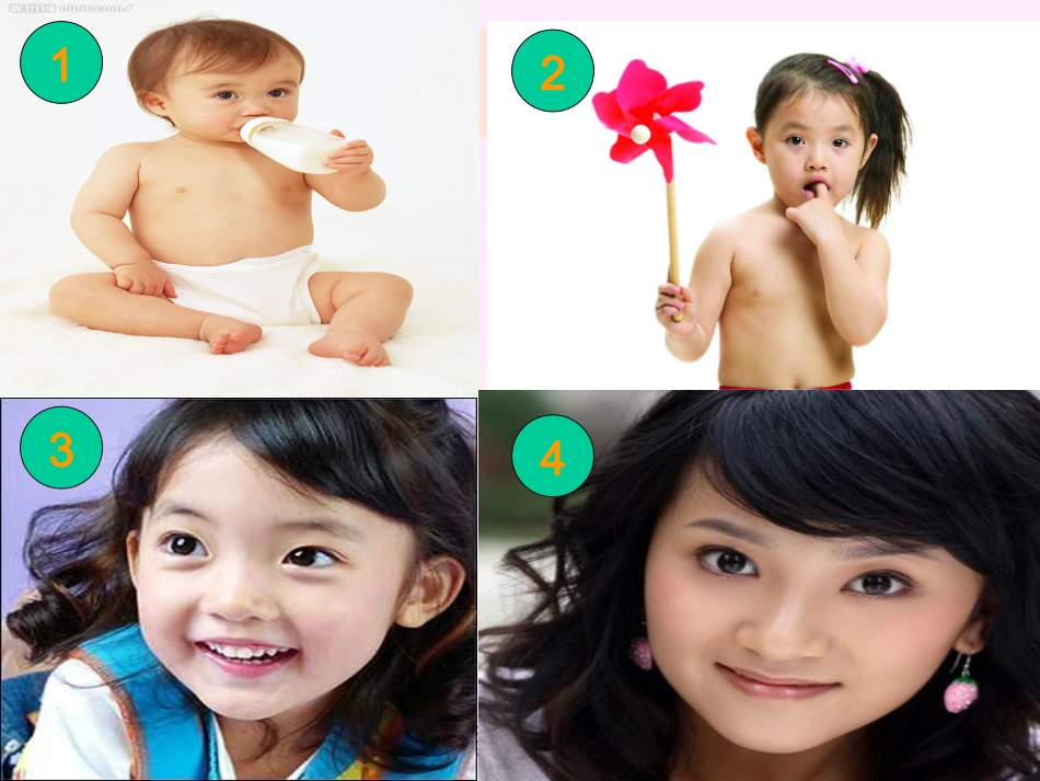 激素调节课件_第1页