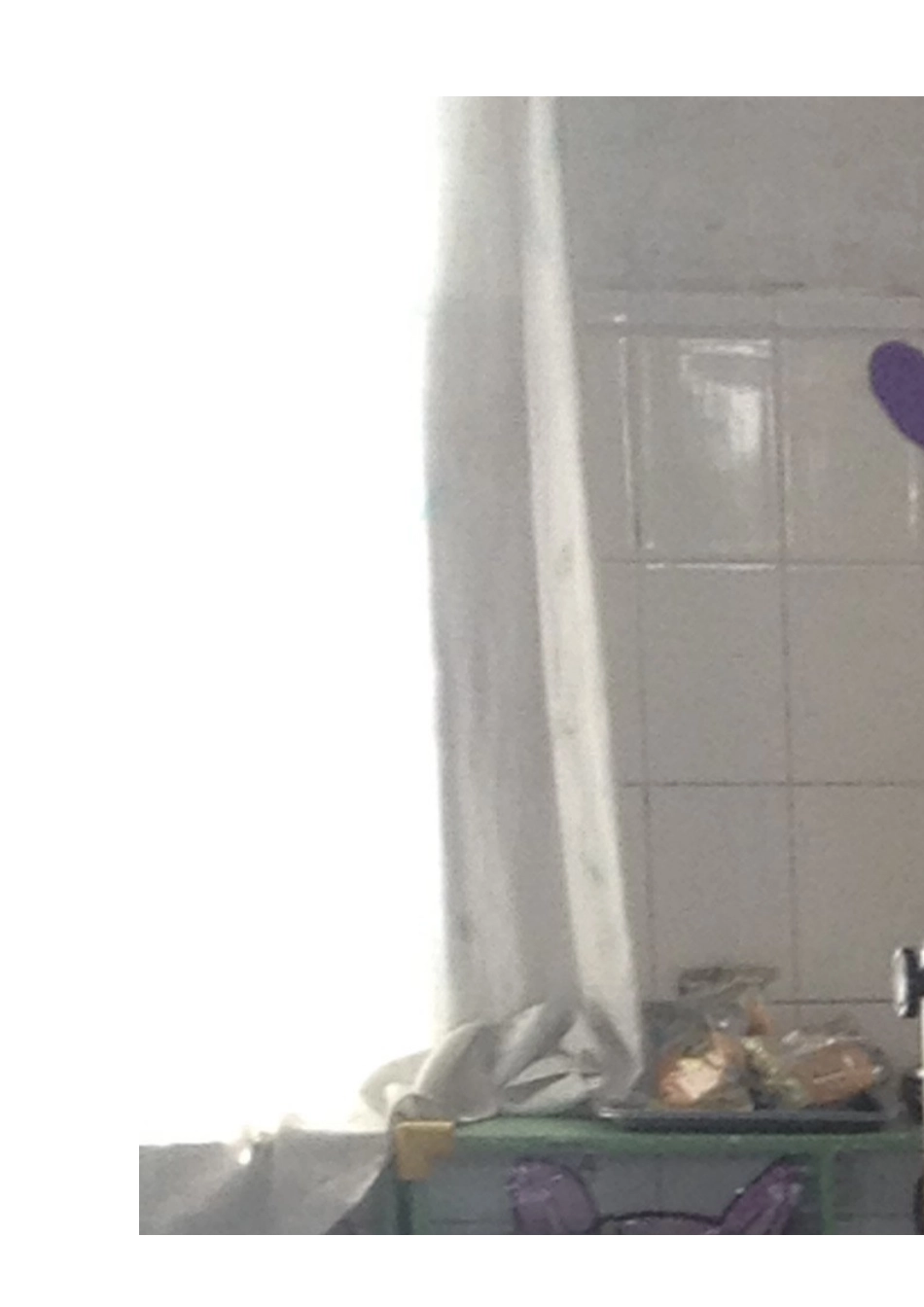 大岗镇灵山幼儿园大一班开展世界环境日活动情况 (2)_第2页