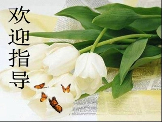 我的经济权利财产继承权定