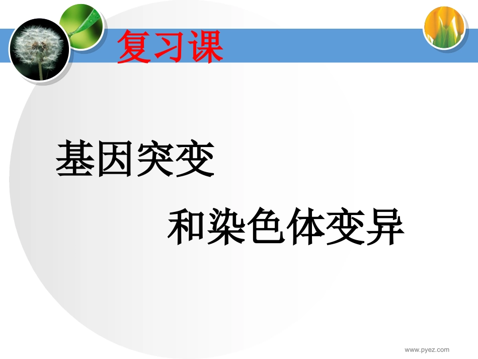基因突变复习课件_第1页
