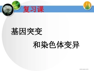 基因突变复习课件