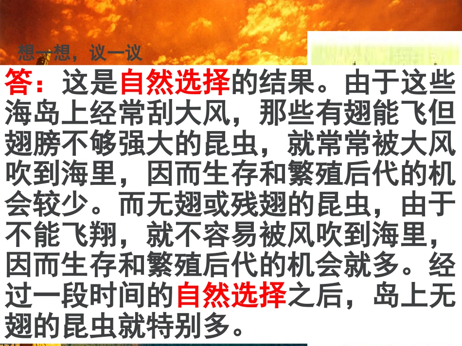 【精品课件】33生物进化的原因_第2页