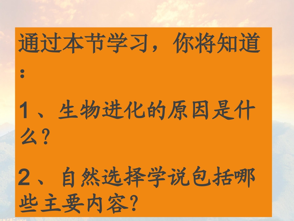 【精品课件】33生物进化的原因_第3页