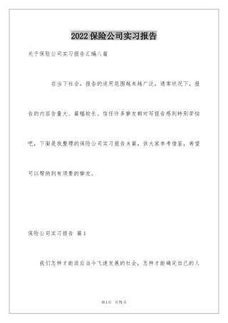 2024保险公司实习报告_28
