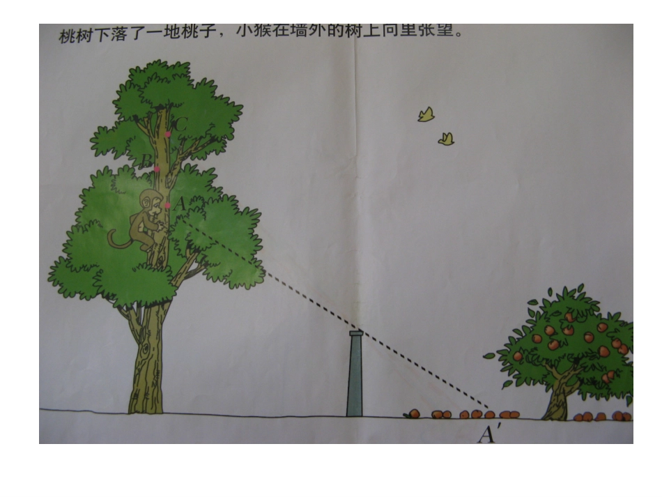 观察的范围 (2)_第3页