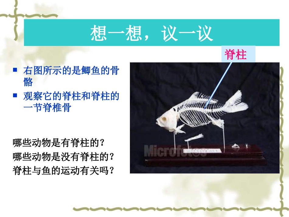 八年级上-生物——鱼_第2页