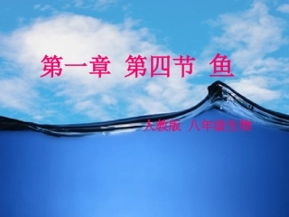 八年级上-生物——鱼