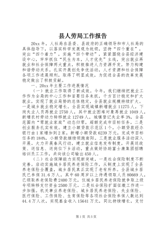 县人劳局工作报告