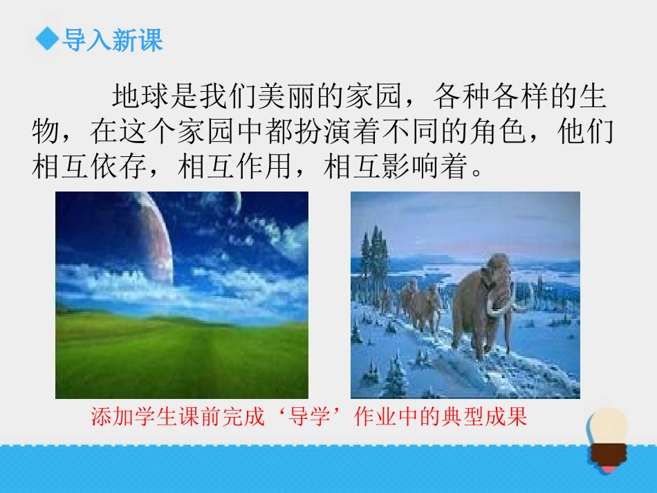 《生物多样性的意义》课件1_第2页