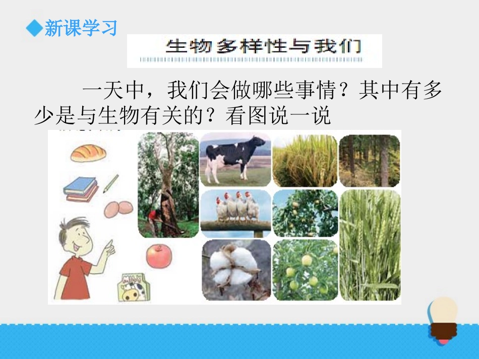 《生物多样性的意义》课件1_第3页