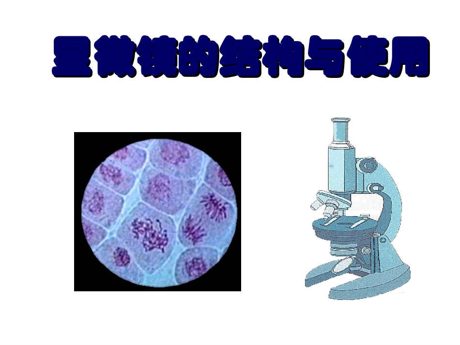 浙教版七上22显微镜的使用_第1页