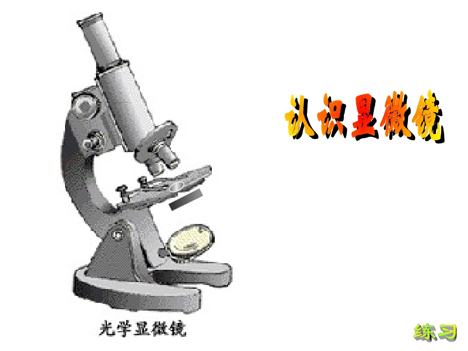 浙教版七上22显微镜的使用_第3页