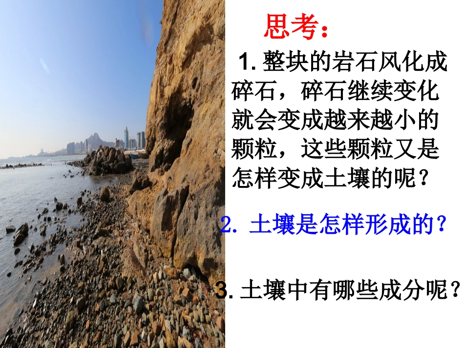 土壤中有什么_第1页