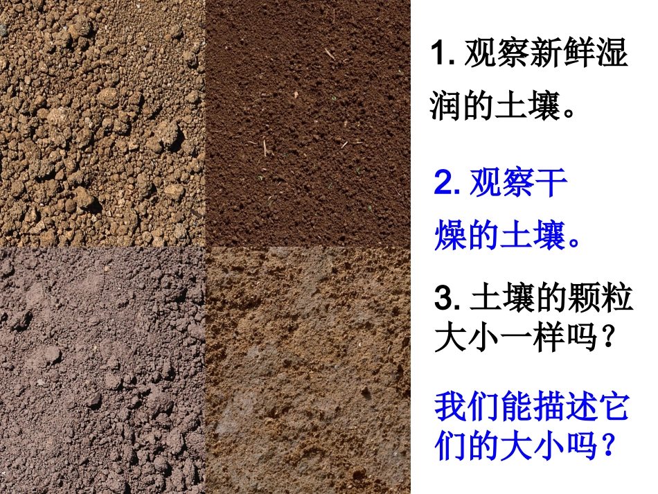 土壤中有什么_第3页