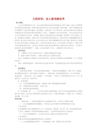 大班科学《走进新奇蜡世界》
