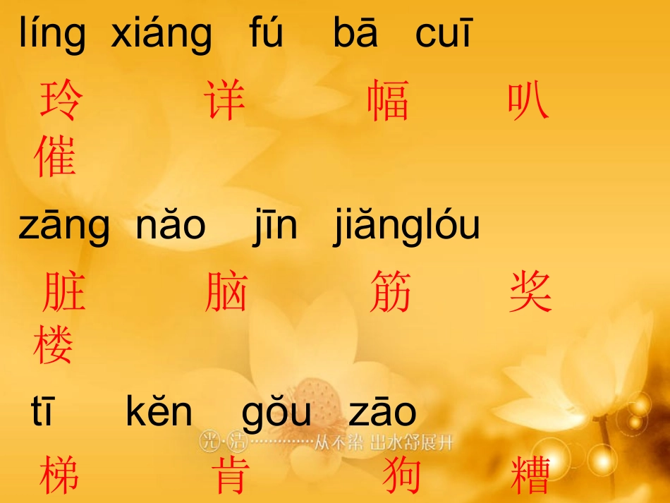 《玲玲的画》课件_第2页