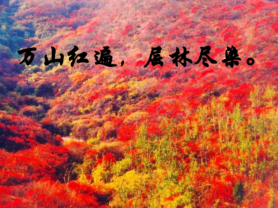 《故都的秋》_第2页