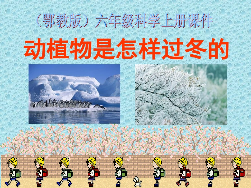 《动植物是怎样过冬的》课件_第1页