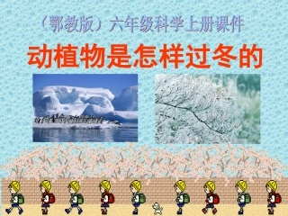 《动植物是怎样过冬的》课件