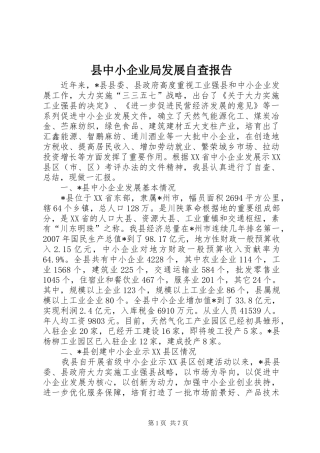 县中小企业局发展自查报告