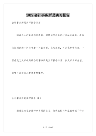 2024会计事务所是实习报告_2