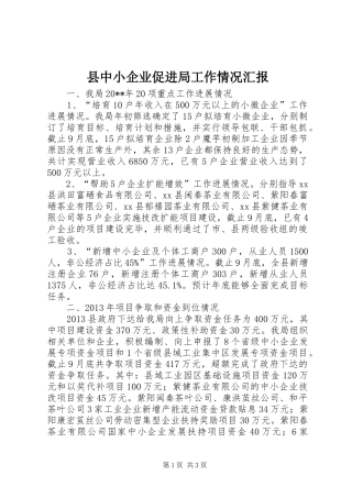 县中小企业促进局工作情况汇报