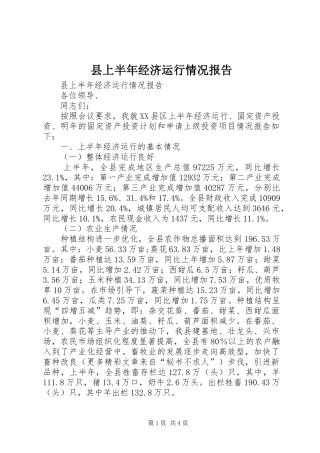 县上半年经济运行情况报告