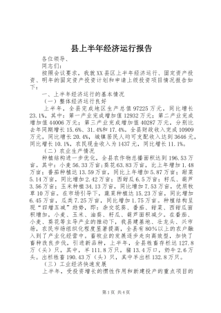 县上半年经济运行报告