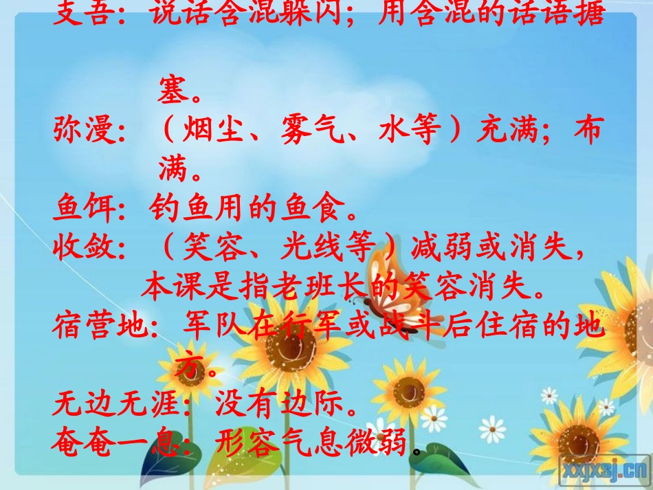 《金色的鱼钩》课件PPT_第3页