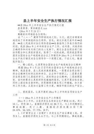 县上半年安全生产执行情况汇报