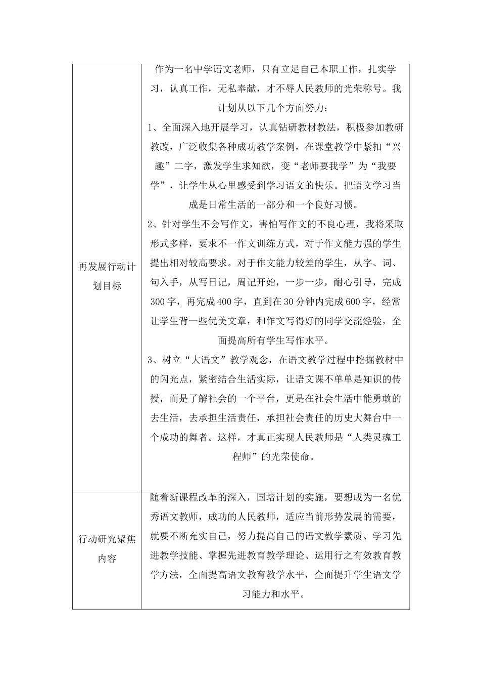 再发展行动计划_第2页