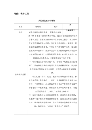 再发展行动计划