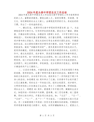 2024年度头排中学团总支工作总结