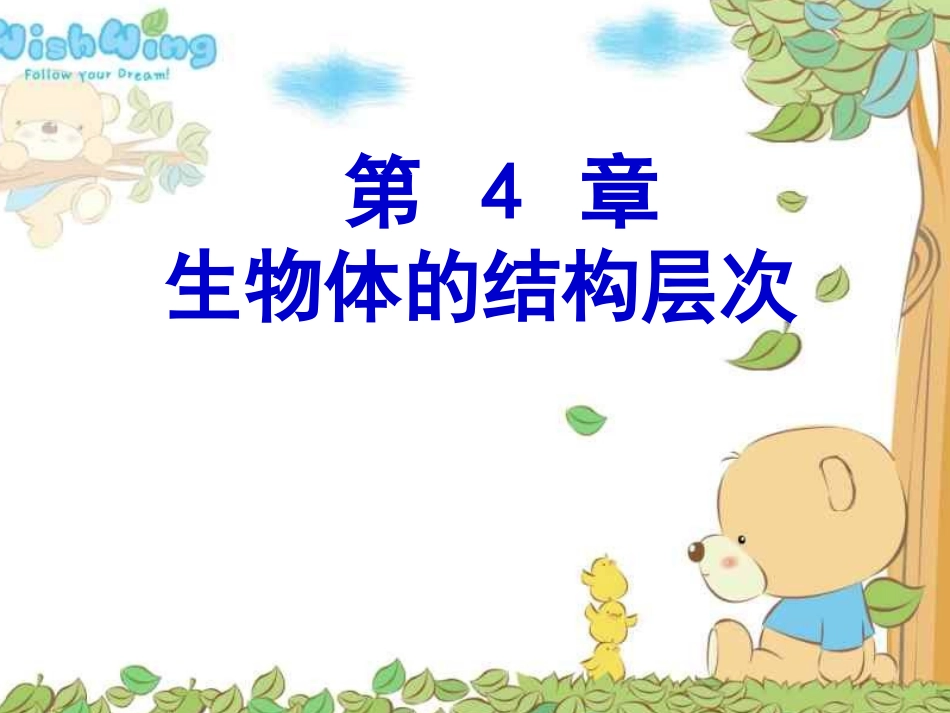 生物体的结构层次第一节(华师大版)_第1页