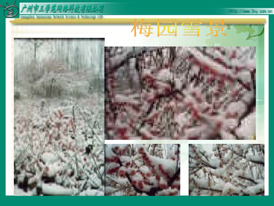 《梅花魂》课件 _第1页