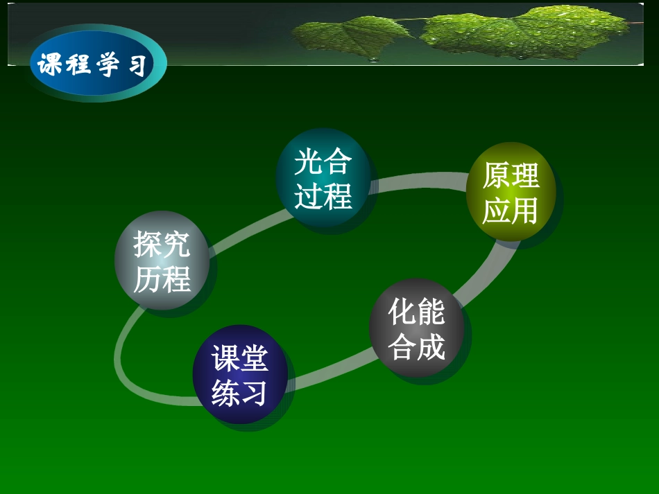 光与光合作用探索历程1_第2页