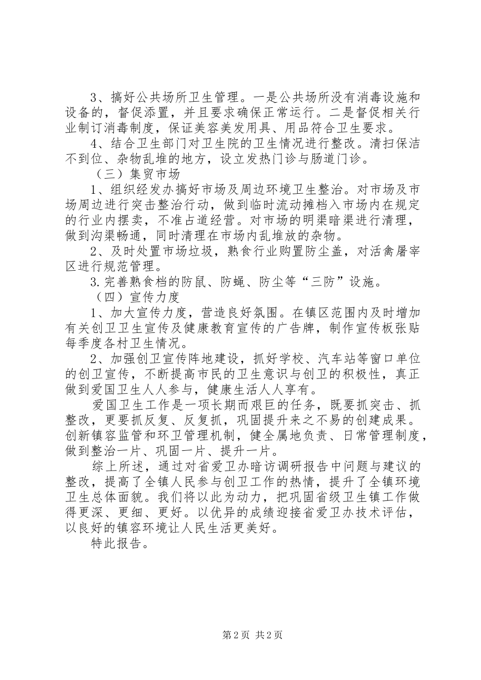 卫生镇暗访整改工作情况报告_第2页
