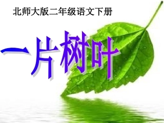一片树叶课件