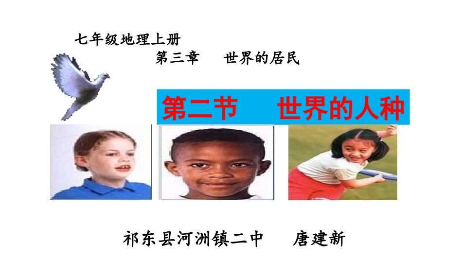 《世界的人种》河洲镇二中唐建新_第3页