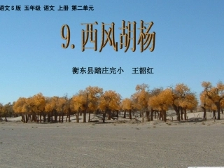《西风胡杨》课件1（踏庄完小王韶红）