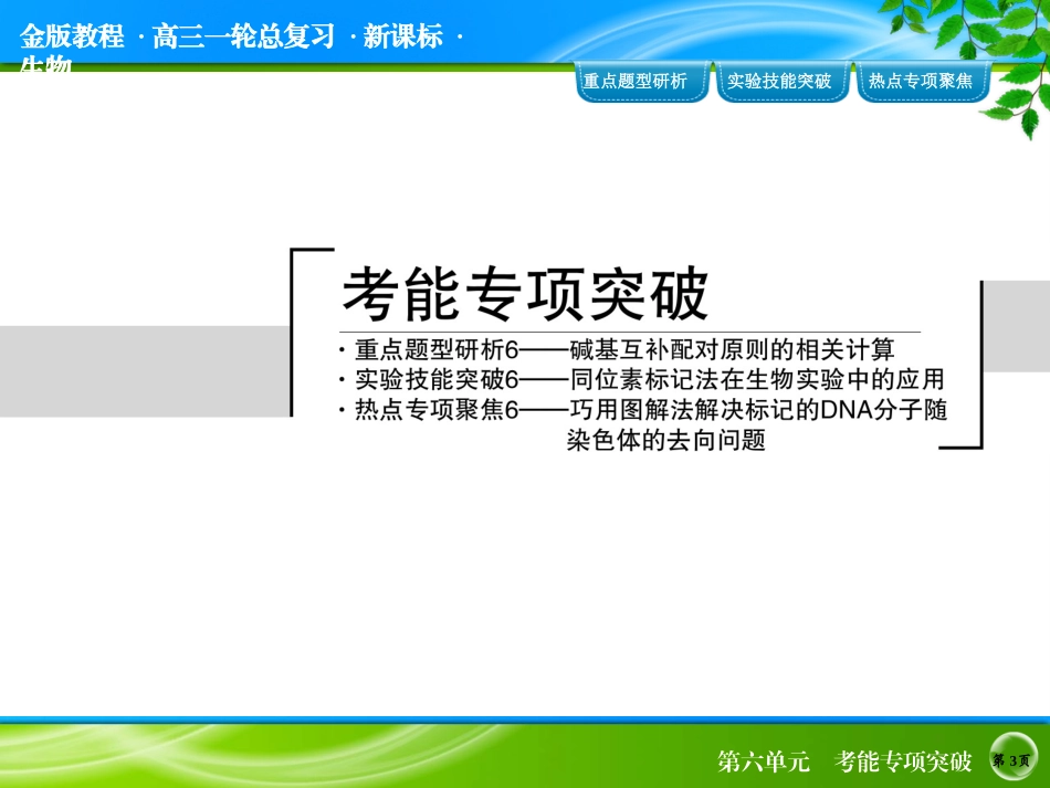 考能专项突破6_第3页