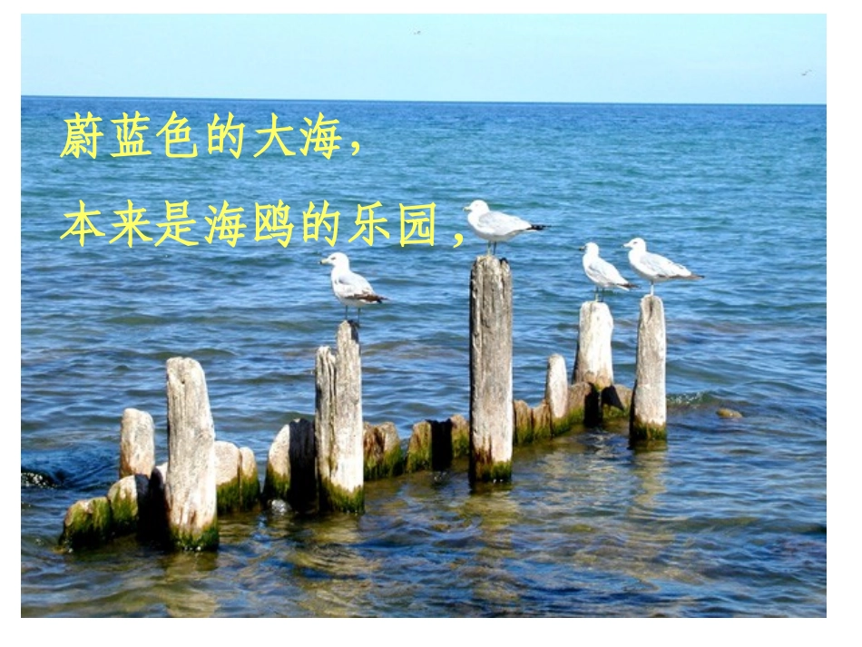 和我们一起享受春天_第3页